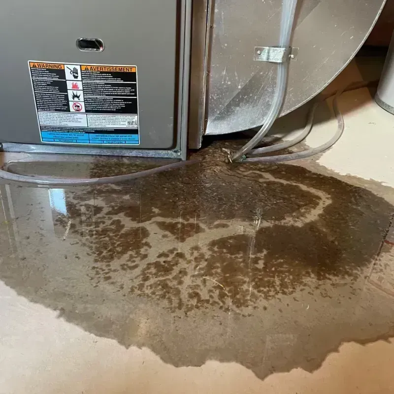 Appliance Leak Cleanup in Owsley County, KY